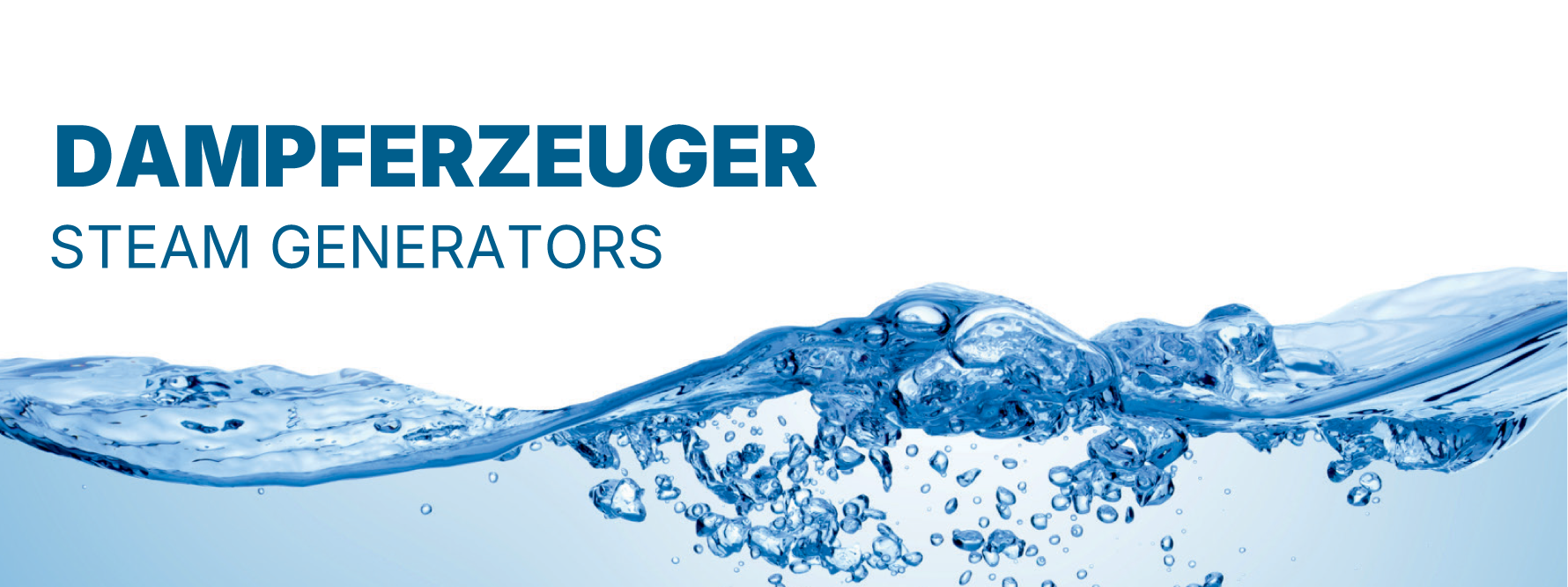 Dampferzeuger
